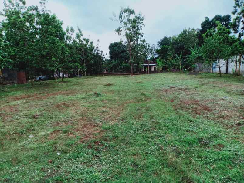 tanah sambirejo sragen