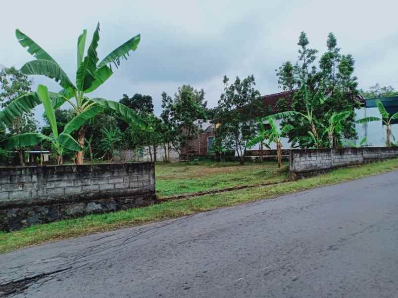 tanah sambirejo sragen