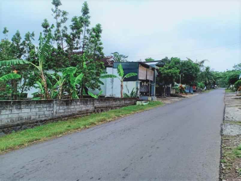 tanah sambirejo sragen