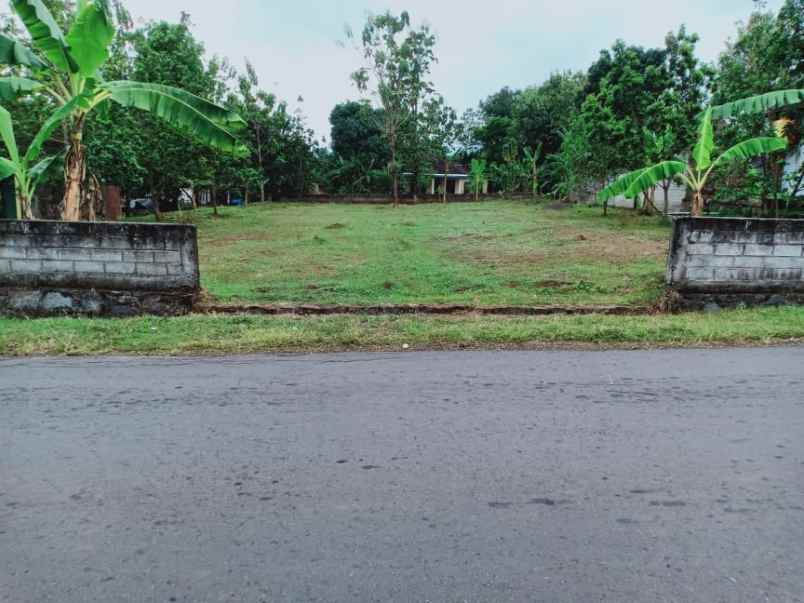 tanah sambirejo sragen