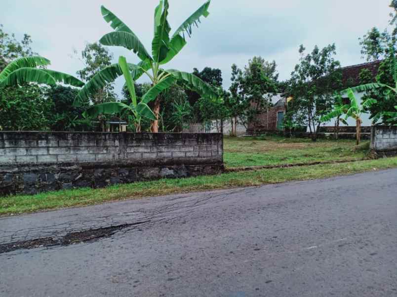 tanah sambirejo sragen