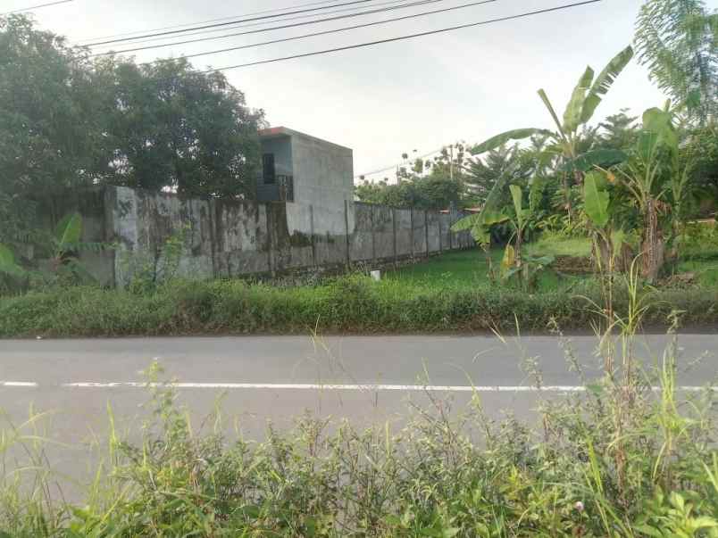 tanah sawah pinggir jln strategis