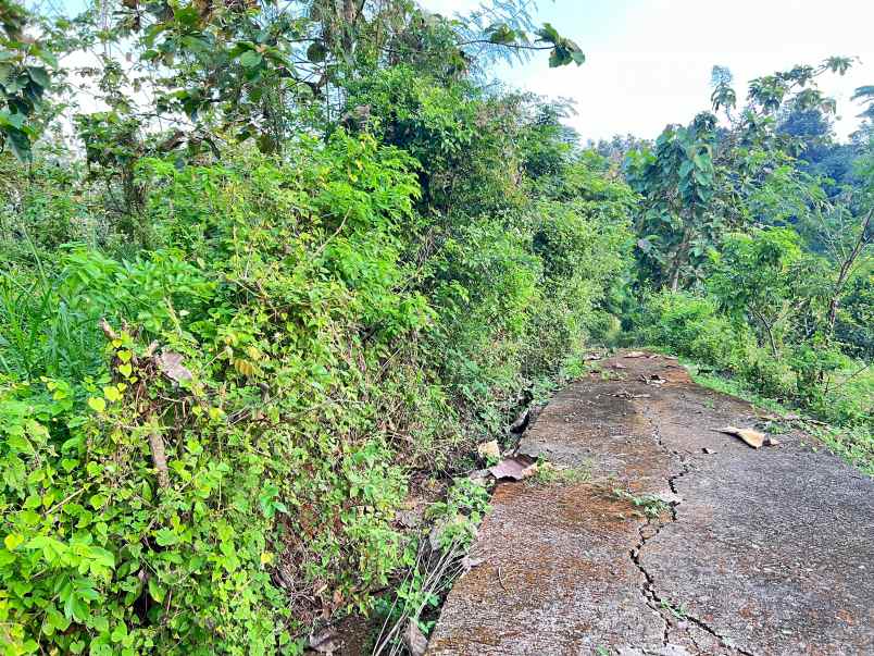 tanah super datar 2000m barat pasar mojogedang