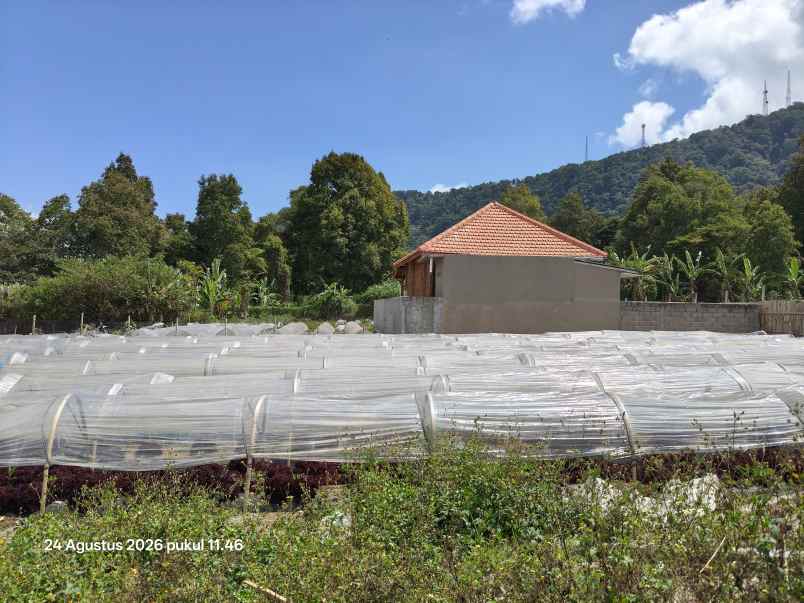 tanah view gunung dan bali handara golf bedugul