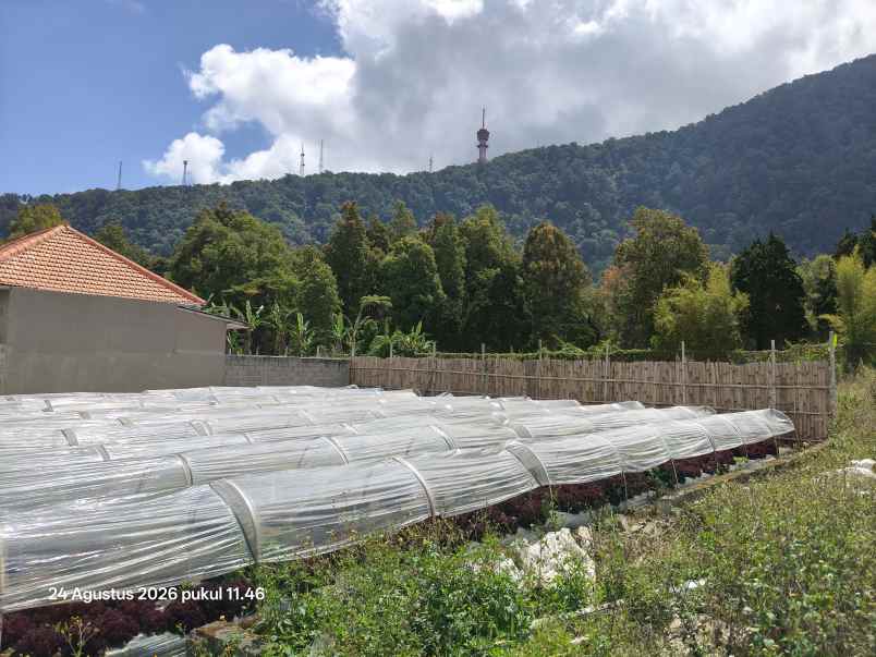 tanah view gunung dan bali handara golf bedugul