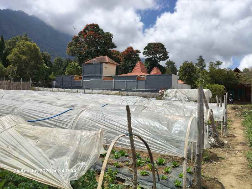 tanah view gunung dan bali handara golf bedugul