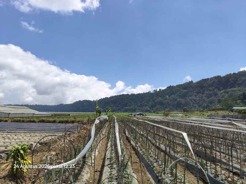 tanah view gunung dan danau dekat bali handara golf