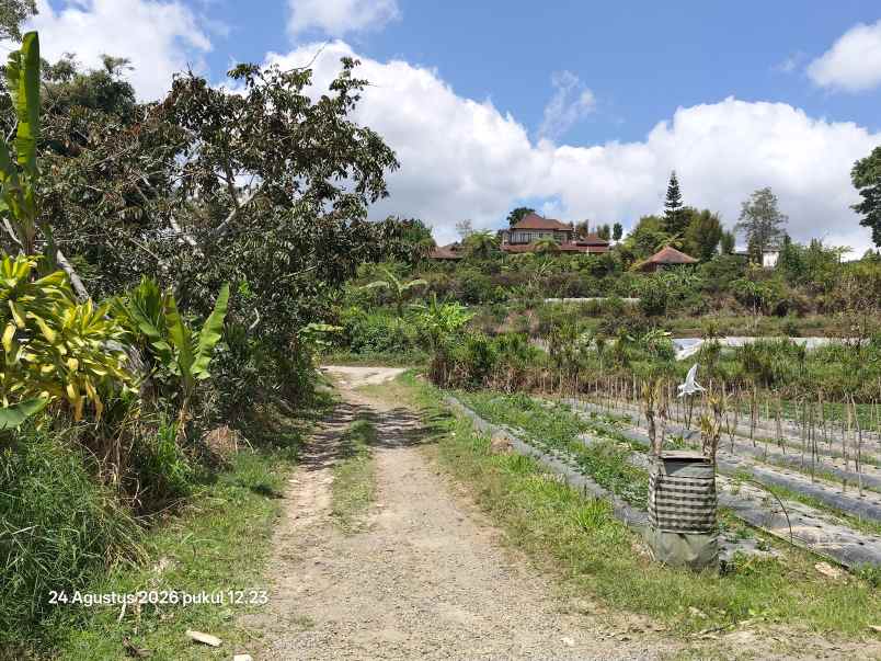 tanah view gunung dan danau dekat bali handara golf