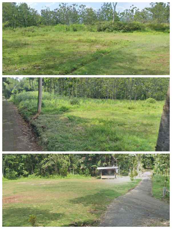 tanah wisata 3 7ha karangpandan karanganyar 300rb m2