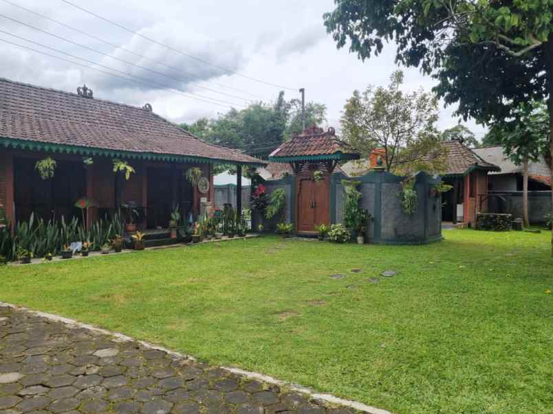 villa asri di turi ada solar panel dan kolam renang