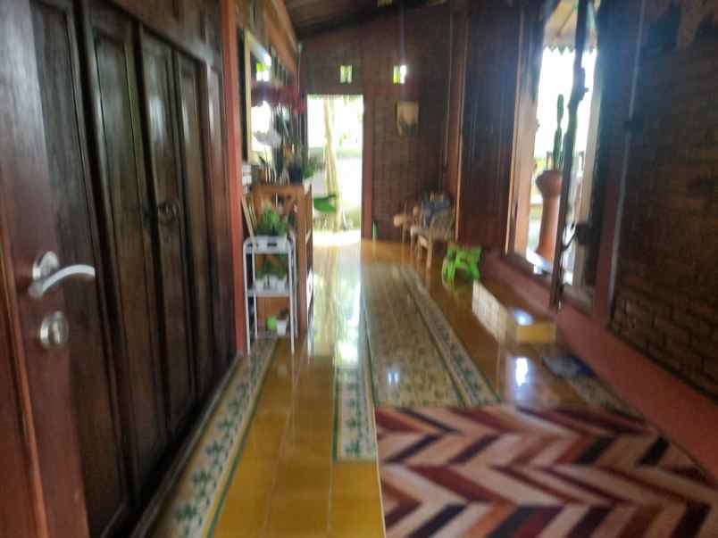 villa asri di turi ada solar panel dan kolam renang