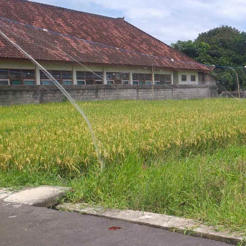 dijual 8 are jl bikes only sahadewa i cemagi mengwi