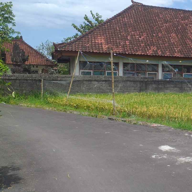 dijual 8 are jl bikes only sahadewa i cemagi mengwi