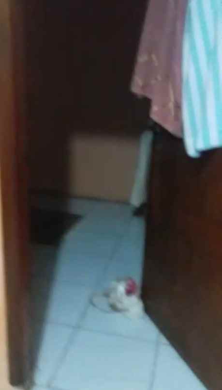 dijual apartemen rawa panjang bojonggede bogor