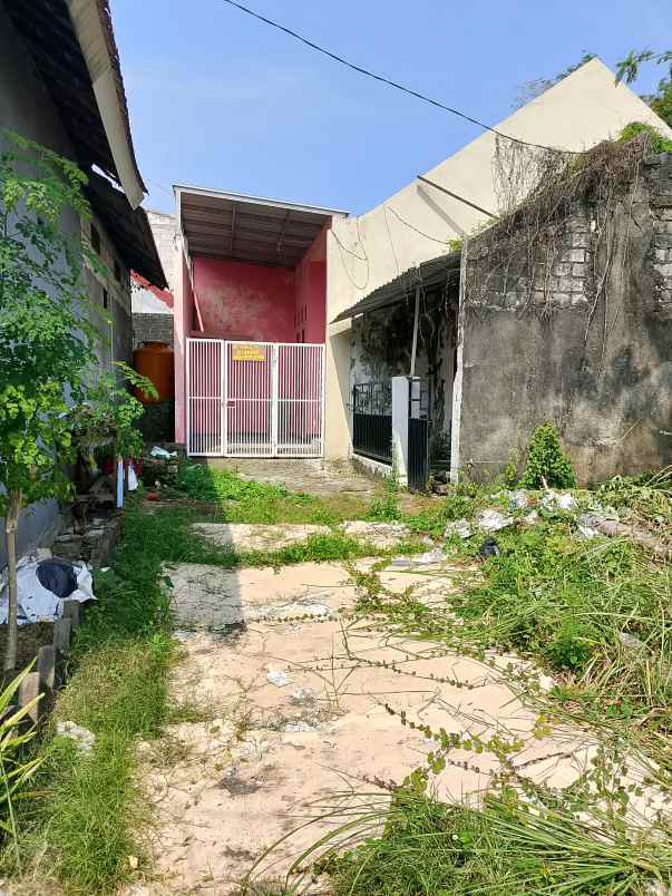 dijual cepat nego tipis