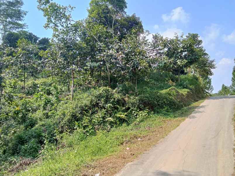 dijual cepat tanah murah