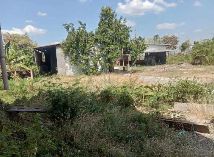 dijual gudang tanah di lamongan jatim