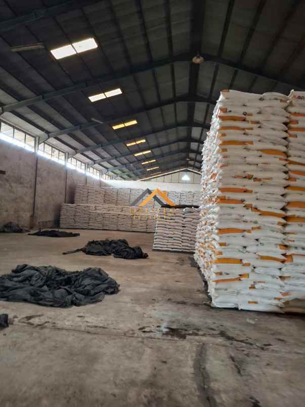dijual ruko gudang kantor jalan kayu putih tj mulia