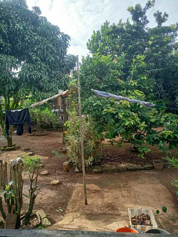dijual rumah alamat kp gantungan desa