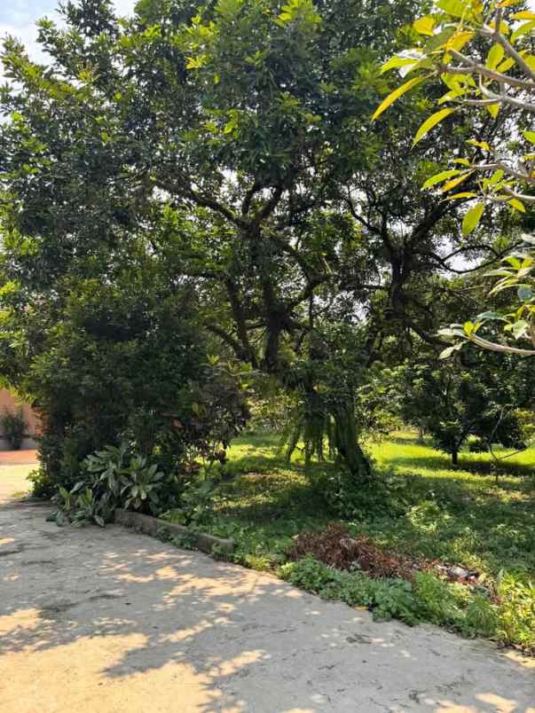 dijual rumah desa bojong