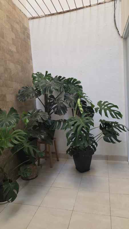 dijual rumah janur elok kelapa gading