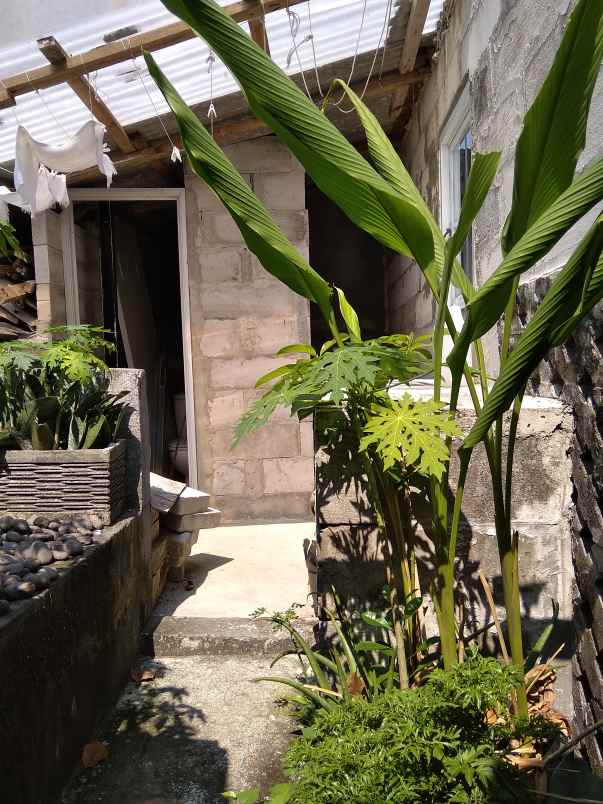 dijual rumah jl timbul iiib rt08 rw04