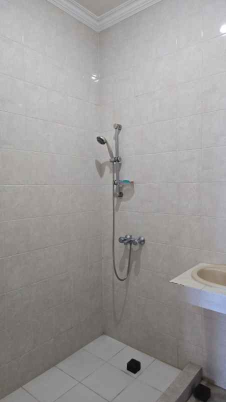 dijual rumah kelapa cengkir kelapa gading