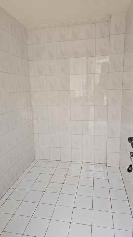 dijual rumah kelapa cengkir kelapa gading