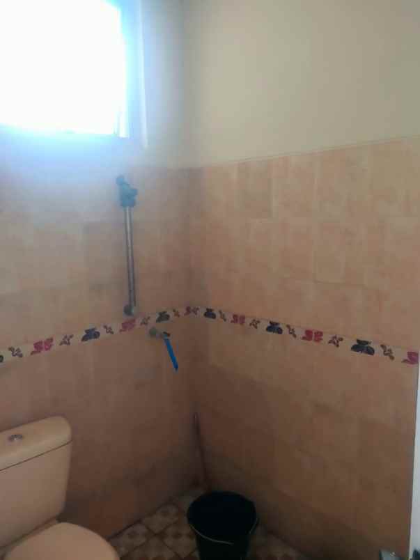 dijual rumah palem semi