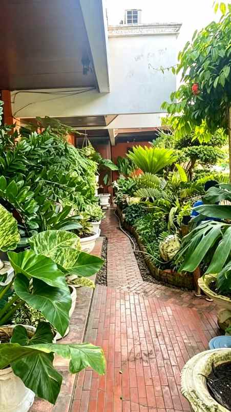 dijual rumah salemba