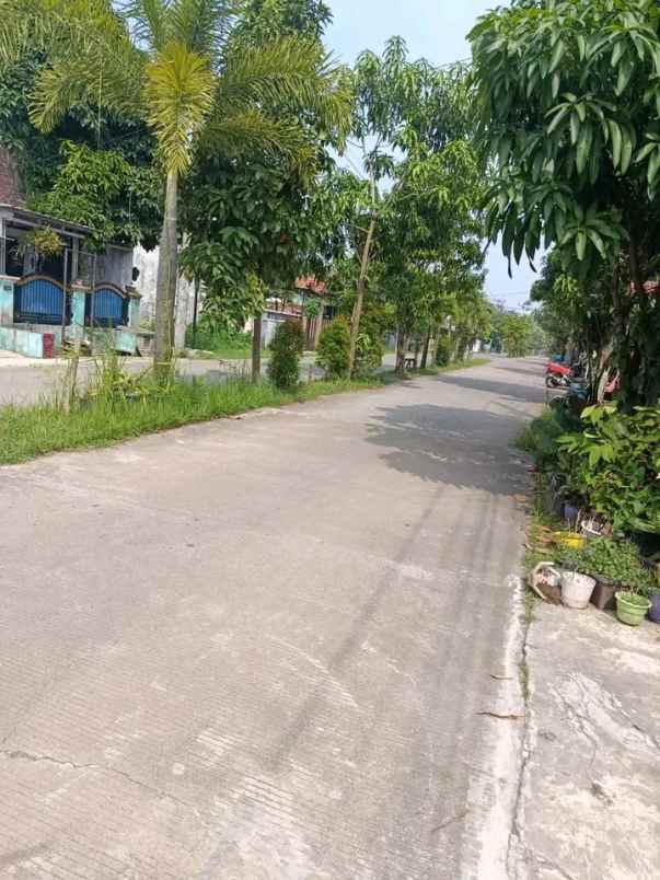 dijual rumah siap huni asri nyaman bebas banjir
