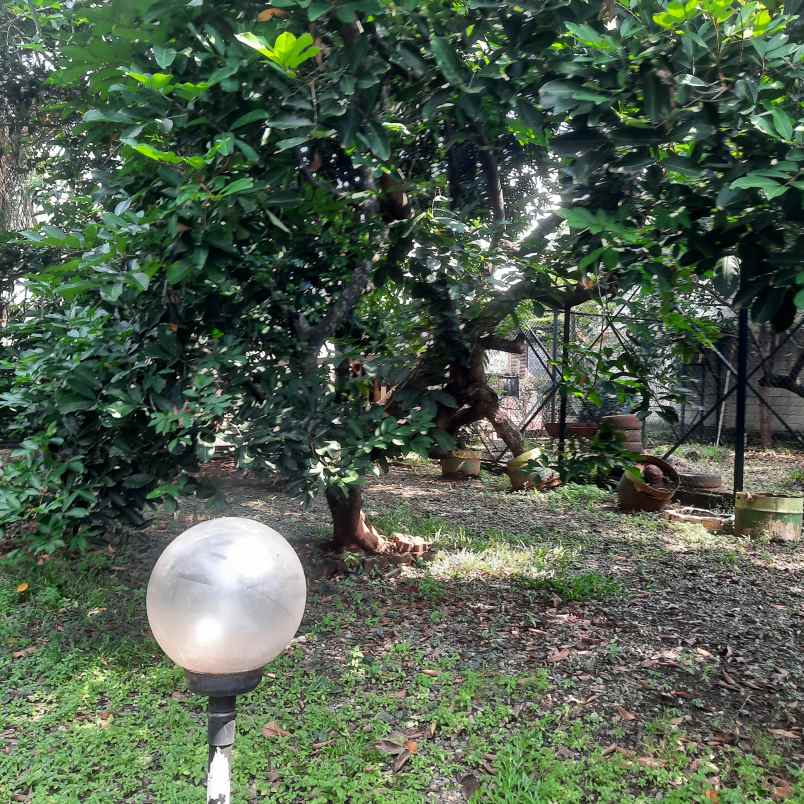 dijual tanah 450m pondokgede