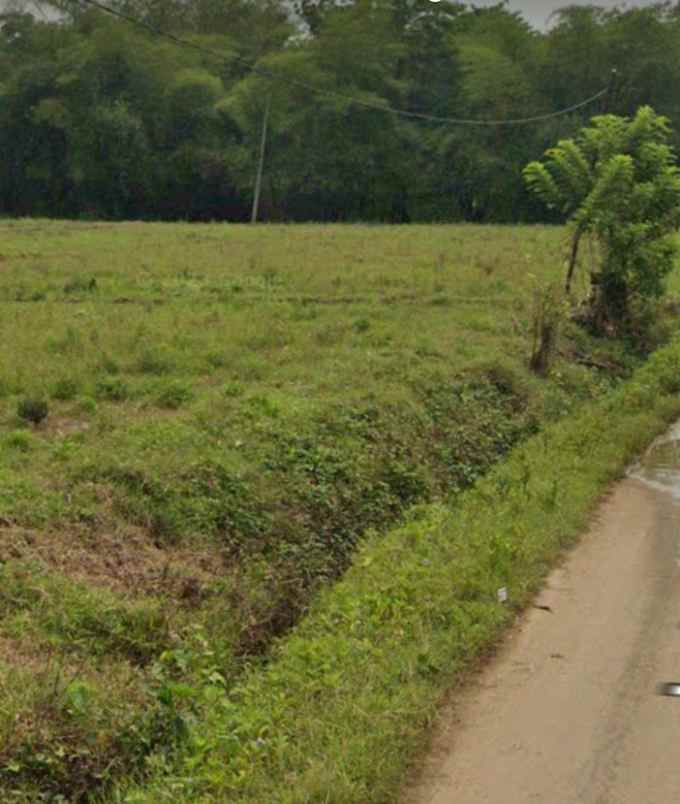 dijual tanah 52 hektar karawang barat