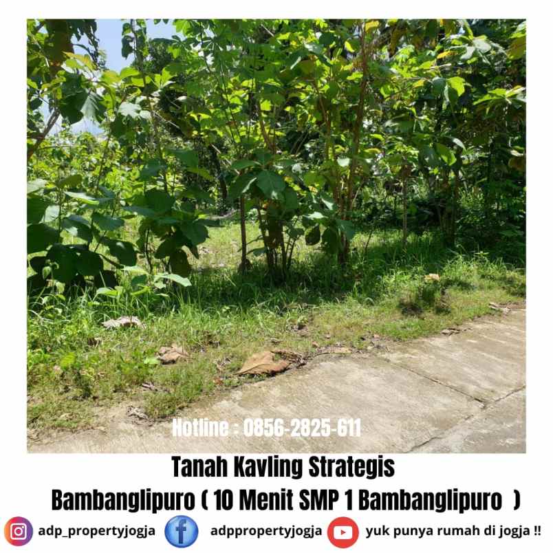 dijual tanah bambanglipuro bantul