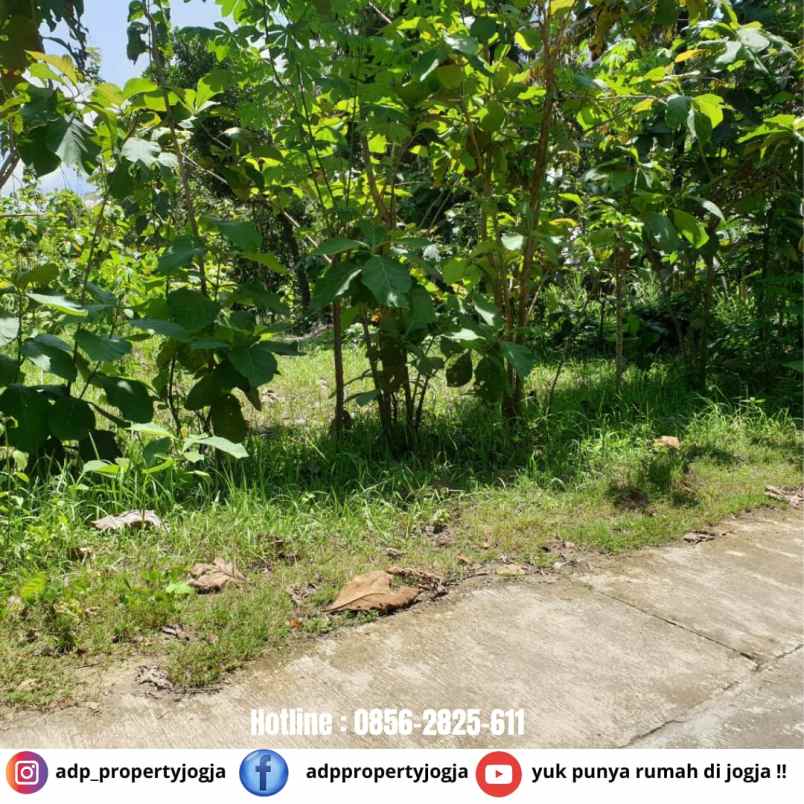 dijual tanah bambanglipuro bantul