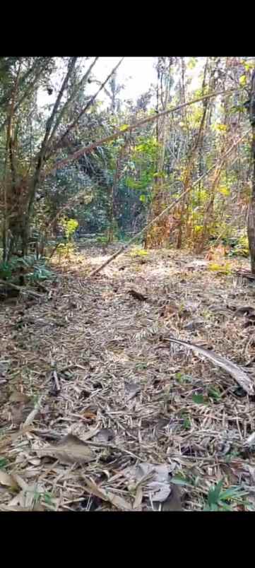 dijual tanah banjar dinas munduk desa