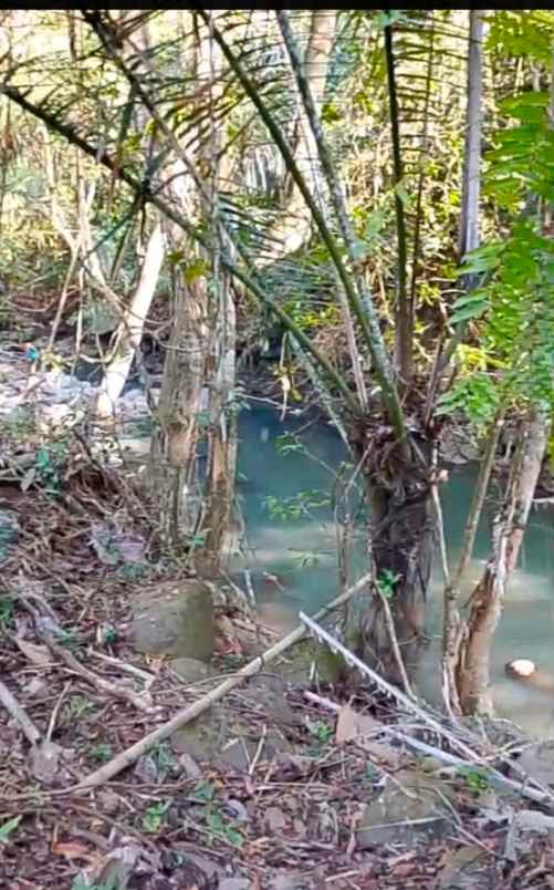 dijual tanah banjar dinas munduk desa