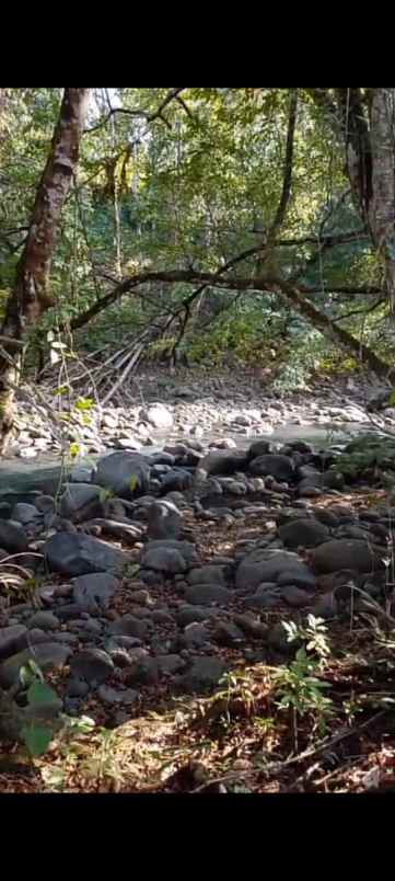 dijual tanah banjar dinas munduk desa