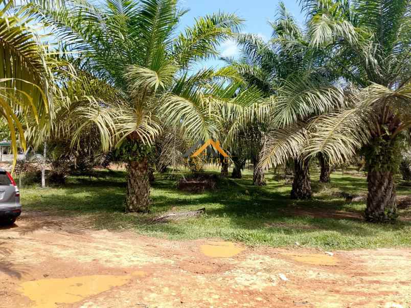 dijual tanah besitang kab langkat kec