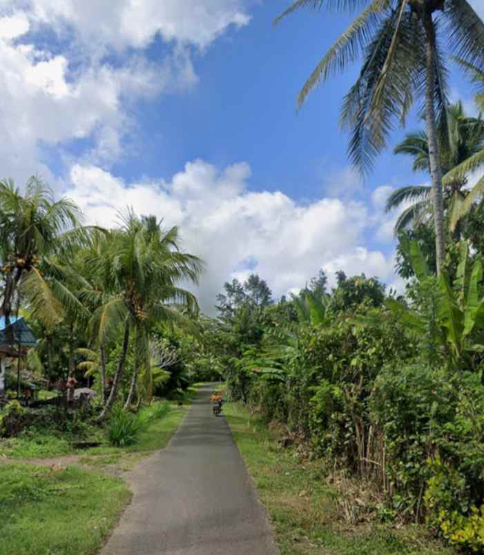 dijual tanah candikusuma jembrana bali