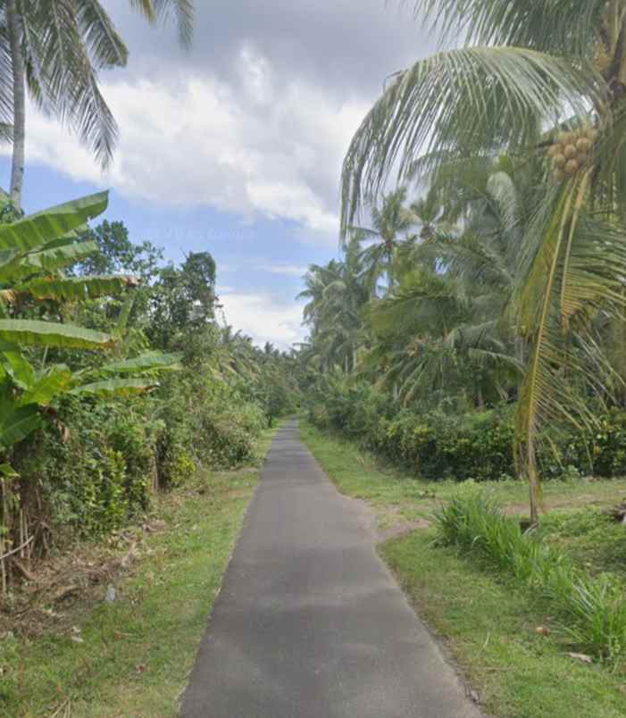 dijual tanah candikusuma jembrana bali