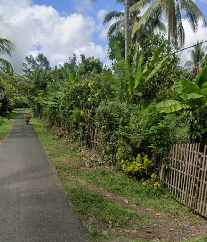 dijual tanah candikusuma jembrana bali