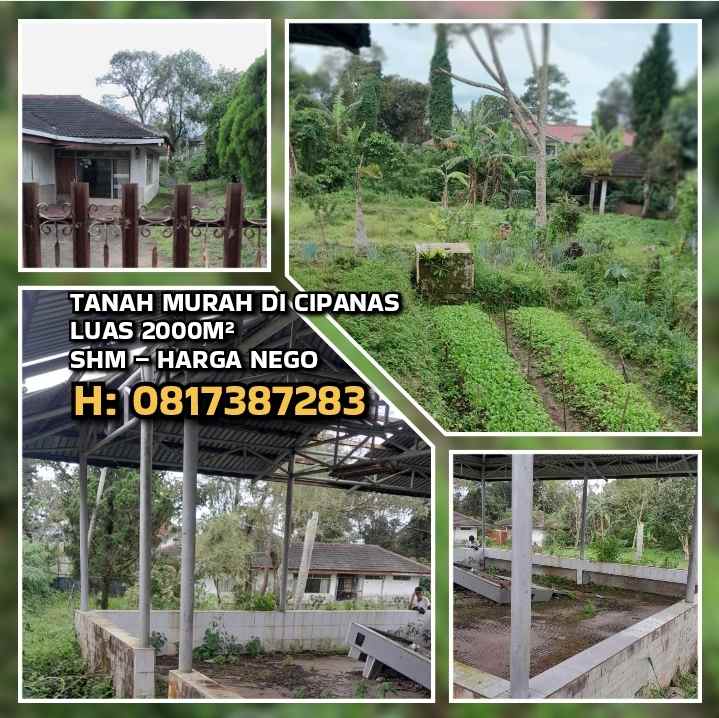 dijual tanah cipanas