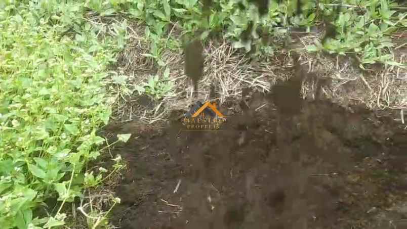 dijual tanah daerah simalungun tambak