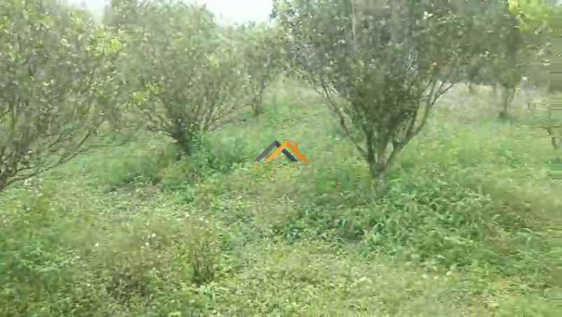 dijual tanah daerah simalungun tambak