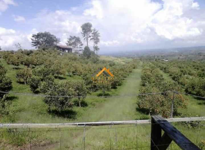 dijual tanah daerah simalungun tambak