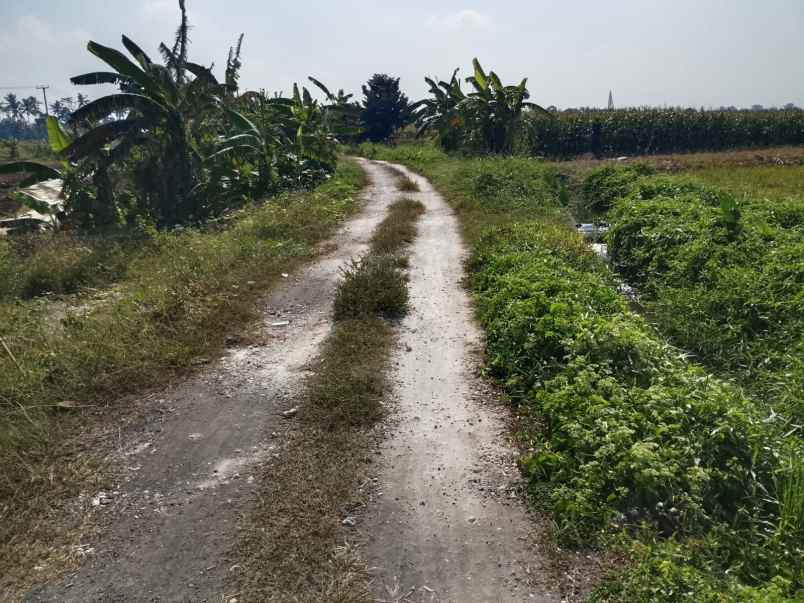 dijual tanah dengan view sawah dan pegunungan