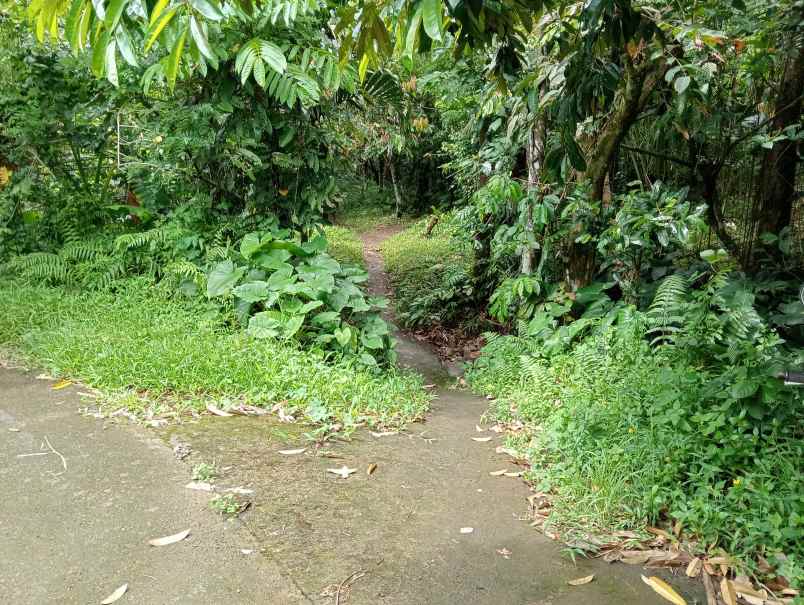 dijual tanah desa antosari kec