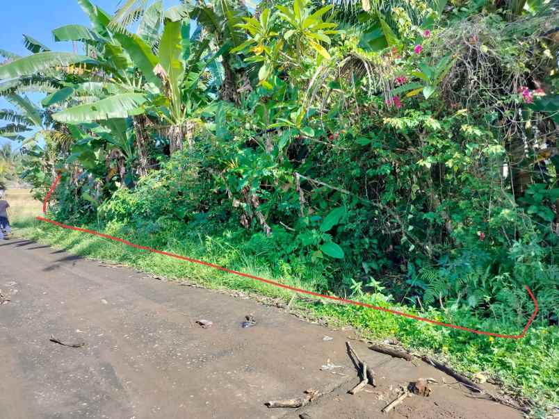 dijual tanah desa batuaji kec