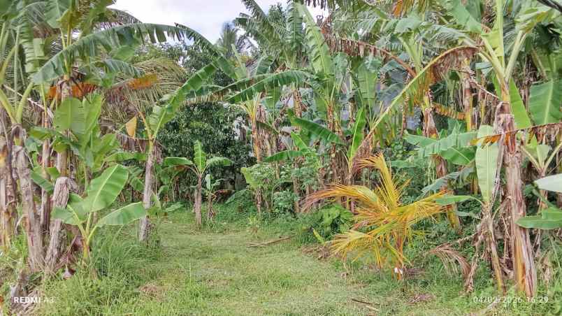 dijual tanah desa batuaji kec